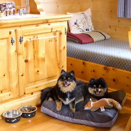 Siegel Almhuette 펜션