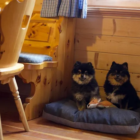 Siegel Almhuette 펜션