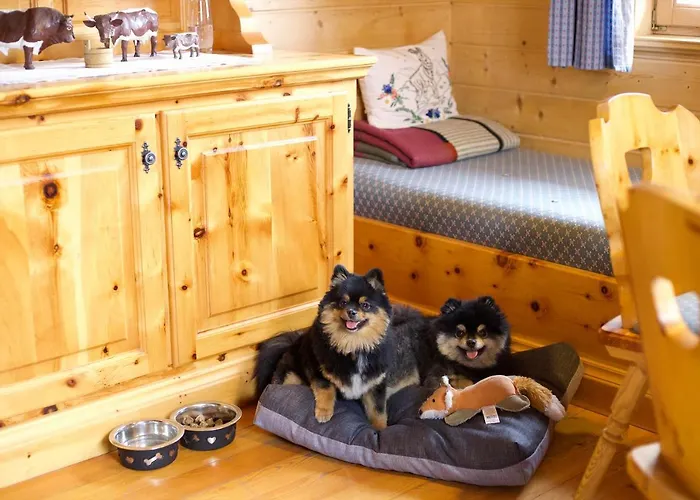 Siegel Almhuette Nyaraló