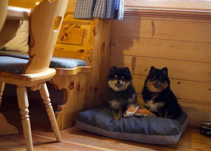 Siegel Almhütte Ferienhaus